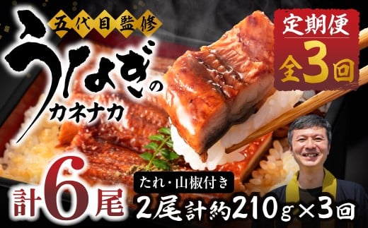【3回 定期便】国産若うなぎ 2尾 老舗 国産うなぎ セット 詰め合わせ 蒲焼 ウナギ 2尾 うなぎ 鰻 ウナギ unagi 土用 丑の日 国産 国産うなぎ 若うなぎ カネナカ うなぎのカネナカ 蒲焼 タレ付