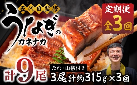 【3回 定期便】国産若うなぎ 3尾 老舗 国産うなぎ セット 詰め合わせ 蒲焼 ウナギ 3尾 うなぎ 鰻 ウナギ unagi 土用 丑の日 国産 国産うなぎ 若うなぎ カネナカ うなぎのカネナカ 蒲焼 タレ付