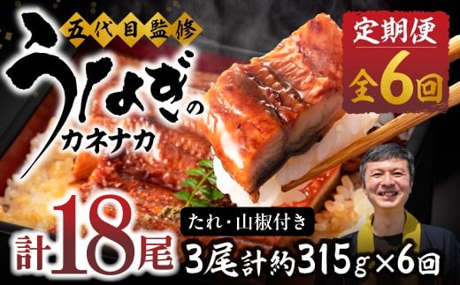 【6回 定期便】国産若うなぎ 3尾 老舗 国産うなぎ セット 詰め合わせ 蒲焼 ウナギ 3尾 うなぎ 鰻 ウナギ unagi 土用 丑の日 国産 国産うなぎ 若うなぎ カネナカ うなぎのカネナカ 蒲焼 タレ付