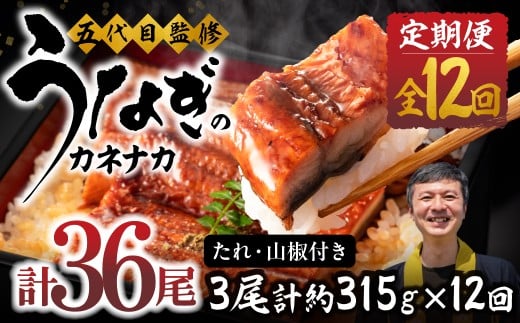 【12回 定期便】国産若うなぎ 3尾 老舗 国産うなぎ セット 詰め合わせ 蒲焼 ウナギ 3尾 うなぎ 鰻 ウナギ unagi 土用 丑の日 国産 国産うなぎ 若うなぎ カネナカ うなぎのカネナカ 蒲焼 タレ付