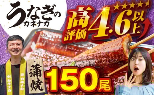 YȂ 150 󂠂 e Ȃ V EiM unagi  Y lC LO 킯 ȒP Ⓚ ȈՕ Ε  yp̉N̓ N̓ Mtg  ^t R