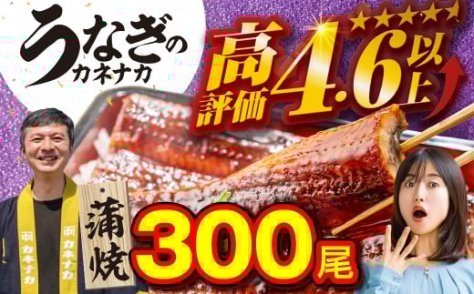 YȂ 300 󂠂 e Ȃ V EiM unagi  Y lC LO 킯 ȒP Ⓚ ȈՕ Ε  yp̉N̓ N̓ Mtg  ^t R