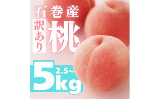 ≪先行予約 2026年発送≫ 石巻産桃 5kg 桃 もも モモ フルーツ 桃 もも モモ 果物 白鳳 日川白鳳 清水白桃 川中島白桃 なつっこ 数量限定 期間限定 旬 人気 おすすめ 甘い 果物 美味しい 訳あり
