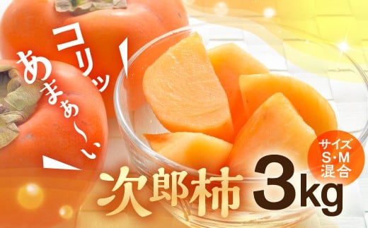 2025NxYLΊ`H[́wY`x3kgmLs12000ʕEt[c̑ ʕEt[c