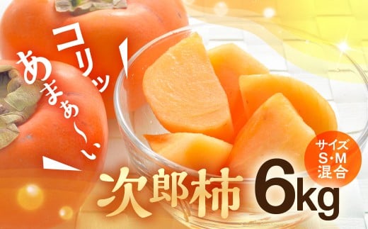 ≪2025年度産≫ 豊橋石巻柿工房の『次郎柿』6kg愛知県豊橋市20000果物・フルーツその他 果物・フルーツ