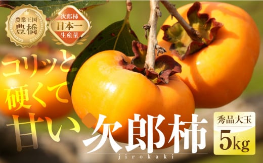 s\  Rƍd Â L ΊY Y` iGi ʁjTkg `i15`20ʁj10 11 2025NYmLs14000ʕEt[c̑ ʕEt[c