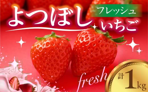 【先行予約】フレッシュ苺 いちご 『よつぼし』 1kg 国産 豊橋産 数量限定愛知県豊橋市10000果物・フルーツいちご