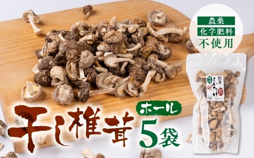 ő z[  25g×5܈mLs5000؁Ê