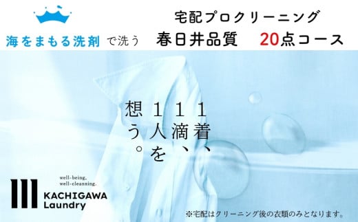 宅配クリーニング 春日井品質(20点コース)愛知県春日井市115000衣類・装飾品・工芸品その他 装飾品・工芸品