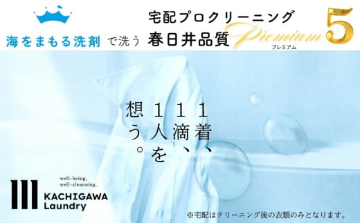 宅配クリーニング 春日井品質プレミアム(5点コース)愛知県春日井市45000衣類・装飾品・工芸品その他 装飾品・工芸品