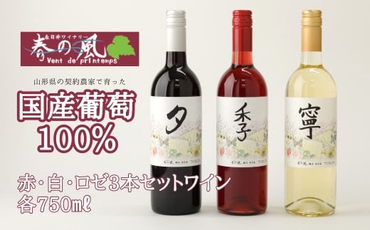 春日井ワイナリー 春の風 赤・白・ロゼ 3本セットワイン 各750ml |  ワイン 赤 白 ロゼ セット 日本ワイン 国産ワイン 国産 飲み比べ 葡萄100%ワイン ぶどう100% 渋味 酸味 甘口 食事 春日井 ワイ
