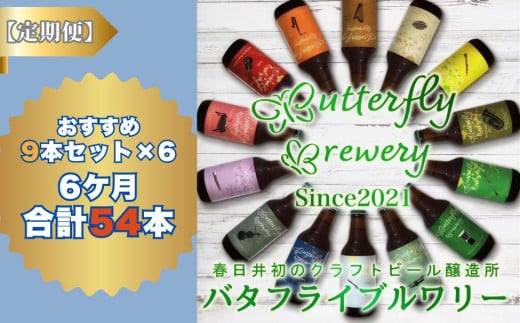 楽器シリーズのクラフトビールが毎月1回9本半年間届きます。(計6回) | 飲料 アルコール ビール クラフトビール 乾杯 晩酌 地ビール IPA ペールエール ラガー ブルワリー 自家醸造 ボト