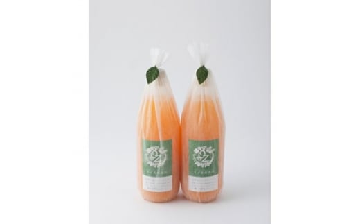 n100%݂W[X@2{Zbgy1209050zmCs12000Eʏ`E؈