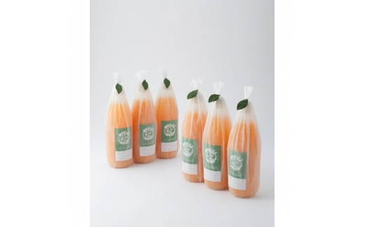 n100%݂W[X@6{y1209051zmCs32000Eʏ`E؈