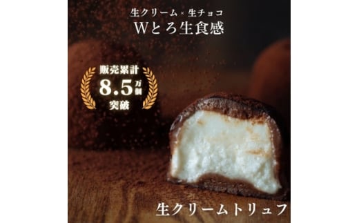 生クリームトリュフ 6個入【1591060】愛知県東海市5000菓子・スイーツその他 洋菓子