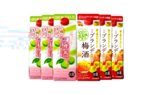 梅酒飲み比べ6本セット【1400153】愛知県清須市8000酒・アルコールその他 酒・アルコール