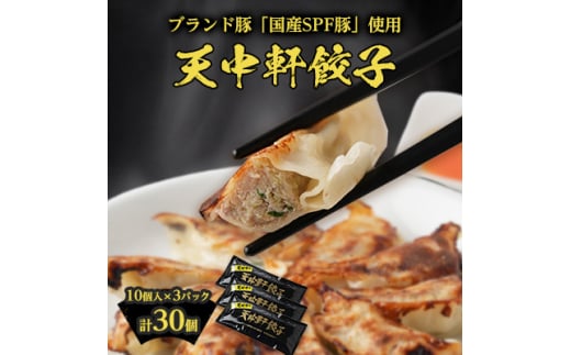 天中軒の冷凍餃子 3パック【1412613】愛知県清須市10000鍋セット・総菜・加工食品総菜
