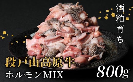 国産牛 段戸山高原牛 ホルモンMIX 800g もつ鍋 焼肉用 ホルモン ホルモン焼き もつ鍋 焼肉 BBQ キャンプ 肉 鉄板焼き -190愛知県設楽町8000肉牛肉