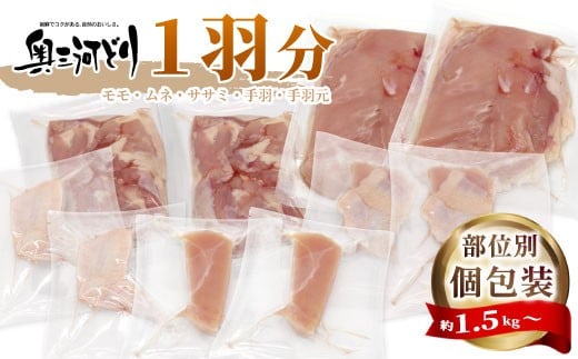 mY { O͂ǂ 1H 1.5`1.8 o   ނ  H H {  l Y Ⓚ `L NX}X p[eB[ o[xL[ BBQ AEghA L