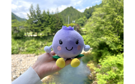 【24】「ベリーちゃん」ぬいぐるみ愛知県豊根村4000雑貨・日用品おもちゃ・ぬいぐるみ