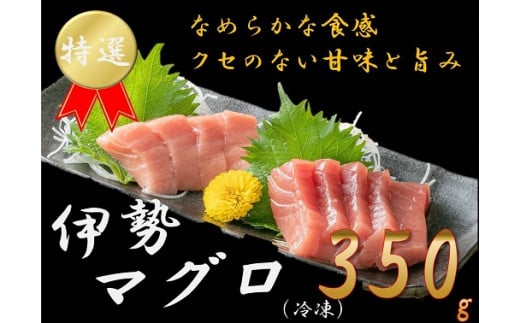 J-51伊勢まぐろ(冷凍)三重県鳥羽市24000魚介・海産物鮮魚