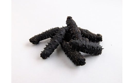Q-14乾燥なまこ(干しなまこ)A級品三重県鳥羽市300000鍋セット・総菜・加工食品その他 鍋セット・総菜・加工食品