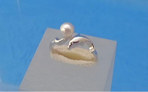 L-38ɐu {^ OiCJj xr[p[OdHs40000ߗށEiEH|iANZT[