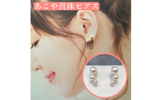 P-54AR^sAXOdHs120000ߗށEiEH|iANZT[