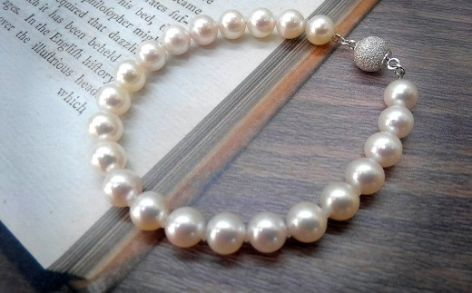 P-62ɐu{^GKguXiI[p[jOdHs100000ߗށEiEH|ȋ iEH|i