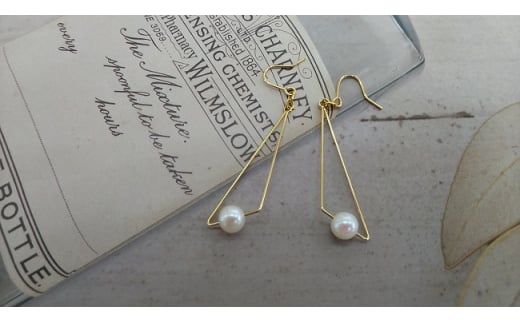 J-92ɐu{^sAX(gCAO)GOdHs20000ߗށEiEH|iANZT[