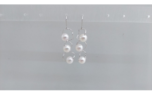 L-85ɐu{^ousAX(gv)ROdHs40000ߗށEiEH|iANZT[