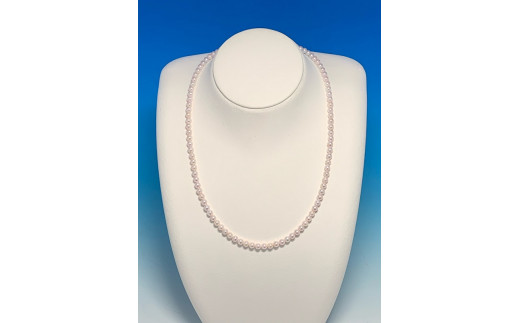 200-01^@xr[p[lbNXi20-SijOdHs200000ߗށEiEH|iANZT[