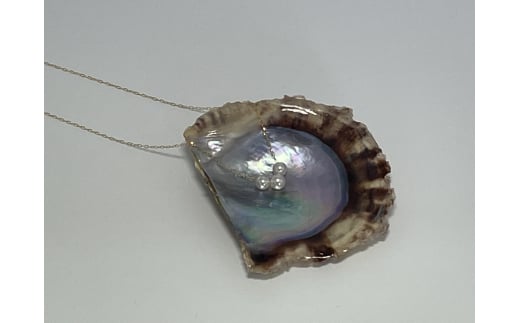 80-07^xr[p[RPtX[y_gi8-SijOdHs100000ߗށEiEH|iANZT[