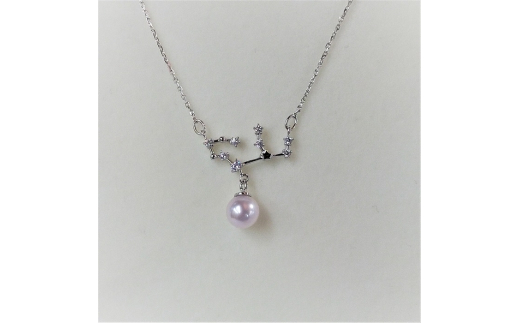 50-43ɐu{^lbNXE(Ƃߍ)OdHs50000ߗށEiEH|iANZT[