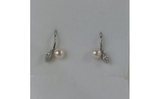 40-31ɐu{^sAXSVtbN(F03)}[LXOdHs40000ߗށEiEH|iANZT[