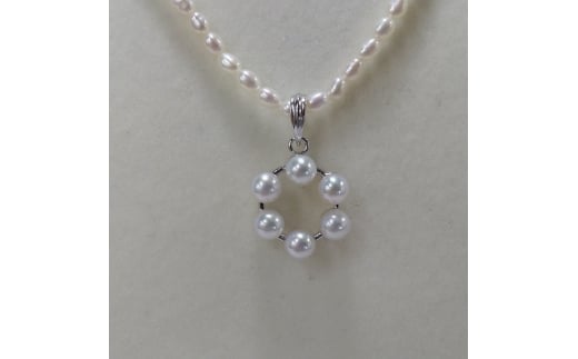 100-54ɐu{^y_gE6T[NOdHs100000ߗށEiEH|iANZT[