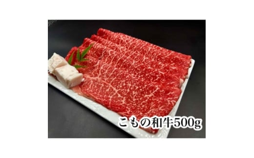 ̘ačg ĂEԂԗp500gy1676408zOdԖ쒬23000