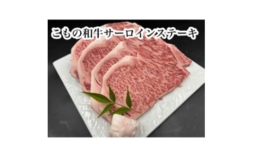 ̘a@ċT[CXe[L180g×4y1676414zOdԖ쒬64000