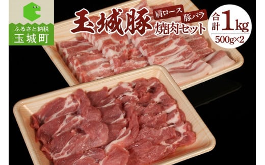 玉城豚焼肉セット 1kg(500g×2)(肉 豚肉 玉城豚 焼肉 セット ブランド 1kg 500g 2個 ジューシー 柔らか 脂身 甘さ ランチ 肩 ロース バラ 健康 三重県 玉城町 玉城アクトファーム)三重県玉城町1800
