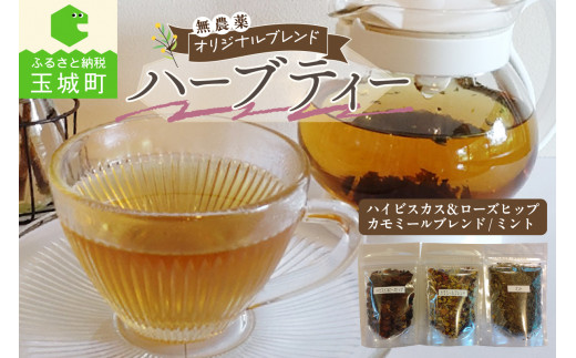 IWiuhn[ueB[@3ZbgOdʏ钬13000E