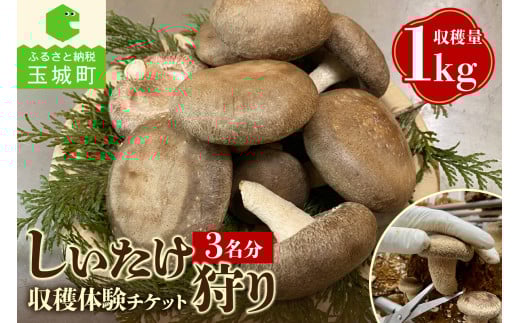 ̂@(ň`Pbg3)n1kgOdʏ钬17000؁Ê̂