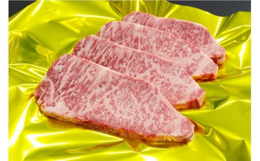 ㋍@wV[@[X@Xe[L@800i200×4j@B-65^Ⓚ@ÐHi@ӂ邳Ɣ[Ł@@@BBQ@Lv@Y@uh@ӂ{܁@Od@IOd