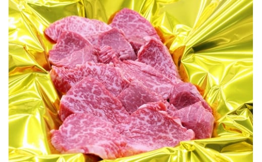 松阪牛 ヒレ 焼肉用 500g B-68/冷凍 瀬古食品 ふるさと納税 牛肉 松阪肉 BBQ キャンプ 名産 ブランド 霜ふり本舗 三重県 大紀町三重県大紀町63000肉牛肉
