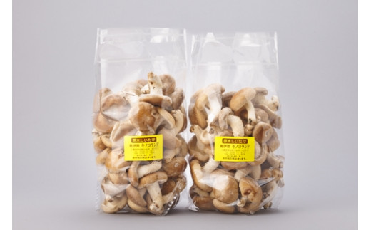 原木 生椎茸 2kg/キノコランド ふるさと納税 大紀ブランド お取り寄せグルメ キノコ きのこ 三重県 大紀町三重県大紀町19000野菜・きのこきのこ