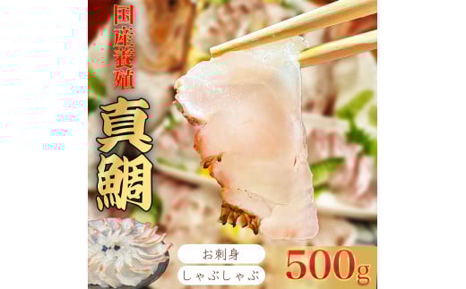 iⓀj y2z Y {B ^ 500g ^ h ӂ邳Ɣ[  ^C  pbN Z hg Ԃ Od IOdI14000ECYN