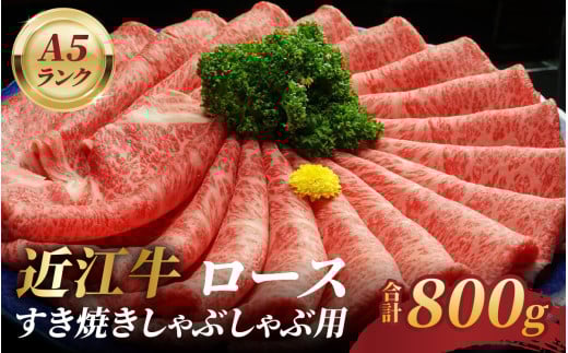 ߍ]A5N[XĂԂԗp800ꌧÎs50000