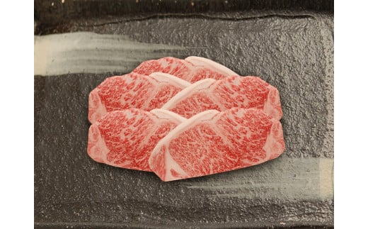 (v~AMtgj쉮ߍ]IT[CXe[L@170g×5/ Mtg ̂ l Ε鎠ꌧÎs80000