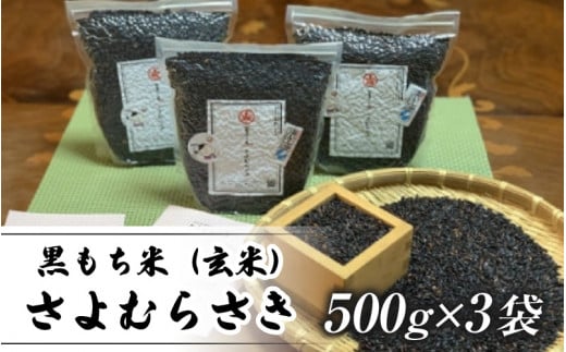 R7NY V  i  jނ炳@500g × 3 i2025N11菇j [EA05] /     ÎꌧÎs12000āEpāEGāEāE
