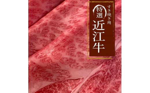 ߍ] A5N [XĂEԂԗp 500g [CE001]ꌧÎs24000