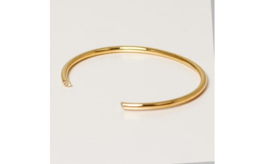 yK10CG[S[hoOz_Ch2ɋP VѐSlANZT[@lCJ[@K10-B005 /  S[h _C WG[ ANZT[ Mtg v[g fB